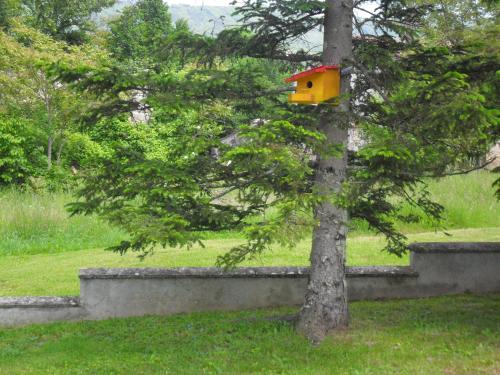 Taman di luar Apartmani Bartulasi