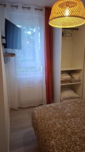 Μια τηλεόραση ή/και κέντρο ψυχαγωγίας στο Charmant petit appartement avec terrasse