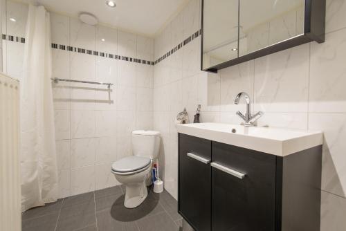 a bathroom with a toilet and a sink at De Grote Sluis in Harlingen