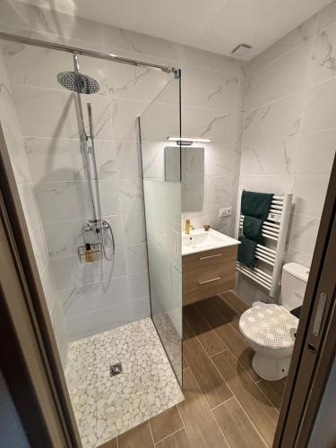 une salle de bain avec une douche, des toilettes et un lavabo dans l'établissement La Jade, à Narbonne