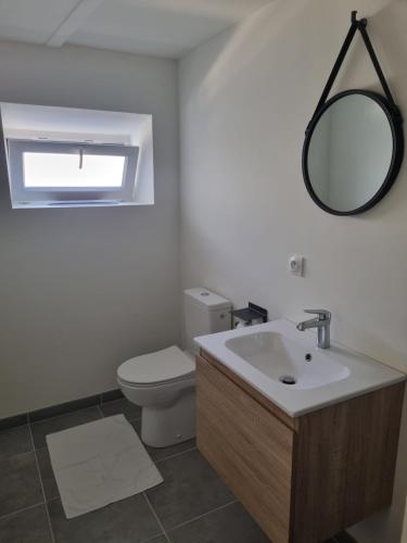ein Badezimmer mit Toilette, Waschbecken und Spiegel in der Unterkunft le gîte AGVP in Civaux