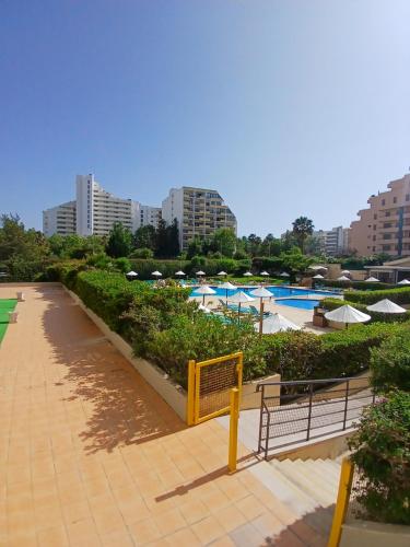 THE PENTHOUSE IN AMARILIS