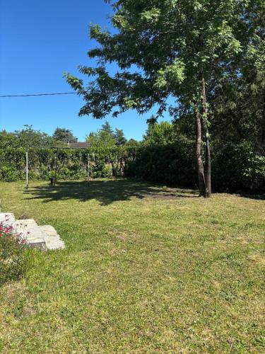 un arbre au milieu d'une prairie dans l'établissement Maison 3 chambres avec jardin, à Eymet