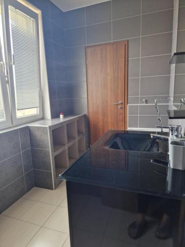 Kuchyň nebo kuchyňský kout v ubytování Luxury Apartment Vadaš