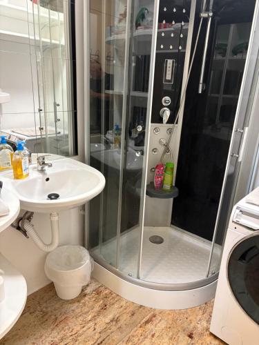a bathroom with a shower and a sink at Homestay Free Park&Bikes in Ljubljana