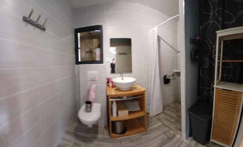 une salle de bain avec un lavabo et des toilettes dans l'établissement maison de campagne, à Saint-Aubin-de-Nabirat