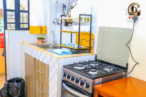 a kitchen with a stove and a sink at Golden cozy homes in Limuru