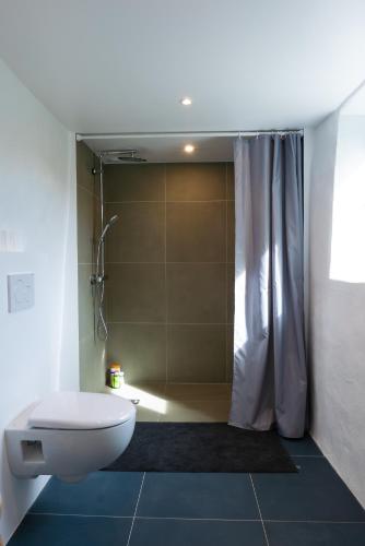 une salle de bain avec des toilettes blanches et une douche dans l'établissement Le petit Santafé, à Port-Sainte-Foy-et-Ponchapt