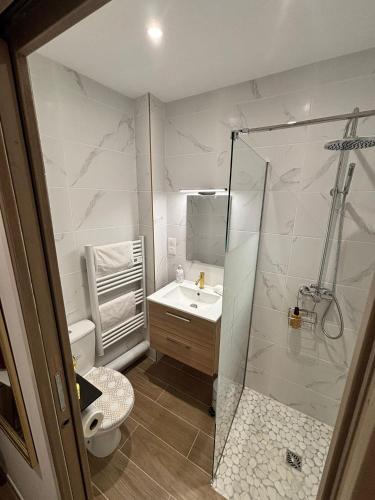 une salle de bain avec douche et lavabo dans l'établissement La Topaze, à Narbonne