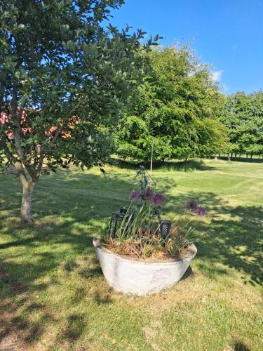 a stone planter with flowers in a field at KRAGKAER Deer-Lodge B&B & Guest House - Unique Holiday Homes in Sæby