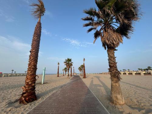 a row of palm trees on a sandy beach at Camping Grande Italia in Chioggia