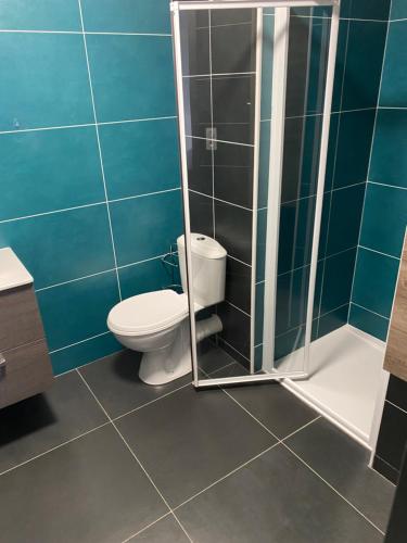 une salle de bain avec toilettes et douche dans l'établissement Ajaccio j1, à Ajaccio