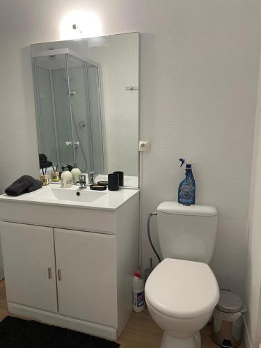une salle de bain avec des toilettes blanches et un miroir dans l'établissement En hauteur, au pied du métro & 7mn du centre Lille, à Mons-en-Baroeul