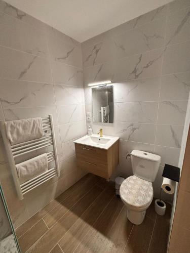 une salle de bain avec toilettes et lavabo dans l'établissement La Saphir, à Narbonne