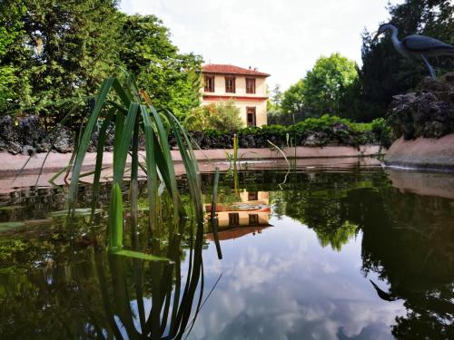 a pond in front of a house with a bird in it at Le Manoir de la Belle Endormie in Valréas