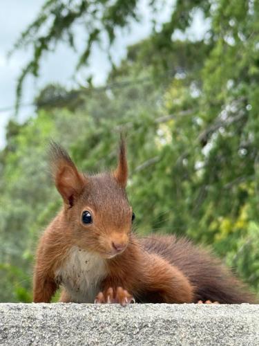 Loumaset-agréable petite maison-garrigues de Nîmes