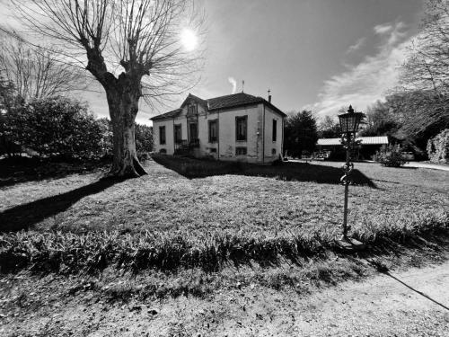 an old house with a tree and a street light at Le Manoir de la Belle Endormie in Valréas