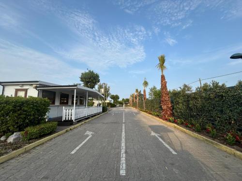 an empty street with a house and a palm tree at Camping Grande Italia in Chioggia