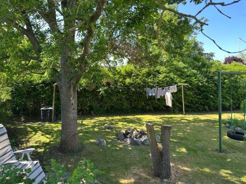 a yard with a tree and a clothesline with a clothes line at Revninge Guesthouse in Revninge