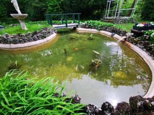 a pond with a bunch of fishes in it at Le Manoir de la Belle Endormie in Valréas