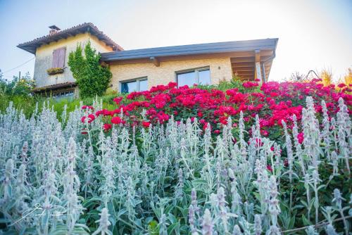 Κήπος έξω από το Casa Vacanze Elios
