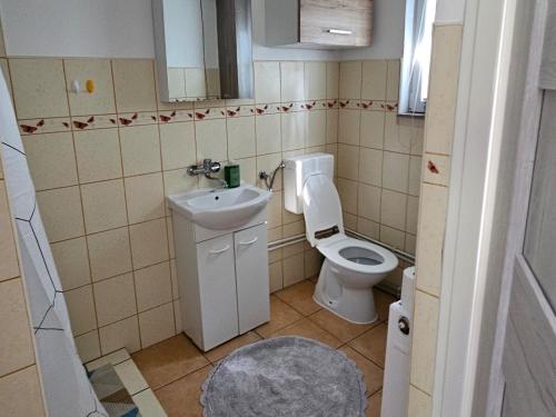 ein kleines Badezimmer mit Toilette und Waschbecken in der Unterkunft Julka in Kopalino