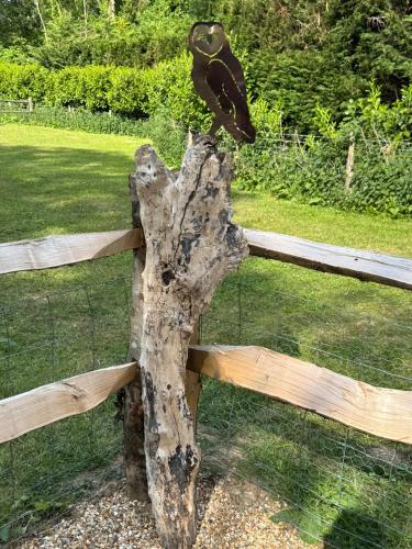 a bird perched on top of a wooden fence at Forest view shepherds hut Hare hut in Ewhurst