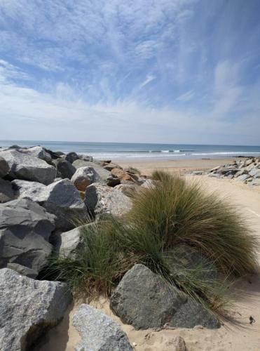 - une plage avec des rochers, de la pelouse et l'océan dans l'établissement Appartement - 4 personnes - Saint-Hilaire-de-Riez, à Saint-Hilaire-de-Riez