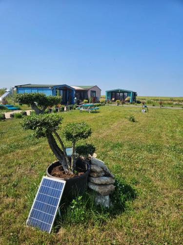 En have udenfor Mar a Lago Glamping23