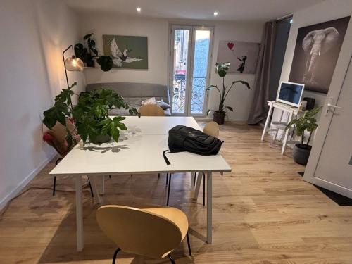 une salle à manger avec une table avec des chaises et des plantes dans l'établissement Appartement familial centre Saint-Georges d'Orques, à Saint-Georges-dʼOrques