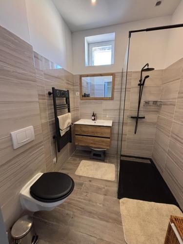 une salle de bain avec toilettes, lavabo et douche dans l'établissement Appartement familial centre Saint-Georges d'Orques, à Saint-Georges-dʼOrques