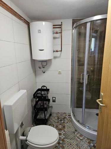 a small bathroom with a toilet and a shower at Apartment JB2 Grmovine in Risika