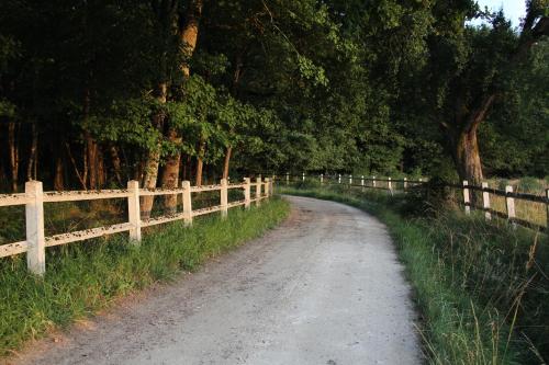 a dirt road next to a wooden fence at Chambres et Table d'Hôtes Les Machetières in Langeais