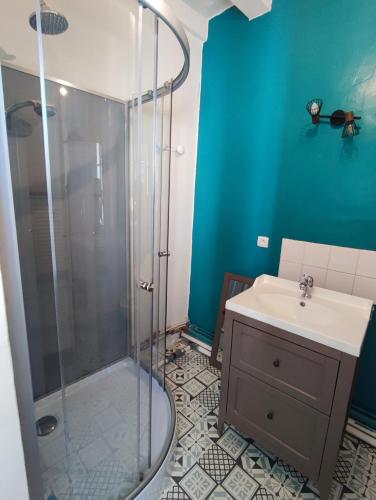 une salle de bain avec douche et lavabo dans l'établissement Gite de la Vallée, à Courdemanche
