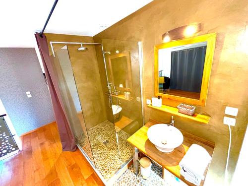 une salle de bain avec une douche, un lavabo et un miroir dans l'établissement Maison des Mûriers, 150 m2, Piscine privée, Clim, à Aigues-Vives