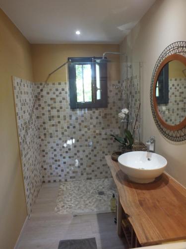 une salle de bain avec un lavabo et une douche avec un miroir dans l'établissement maison tranquille en Provence, à La Celle-sous-Gouzon