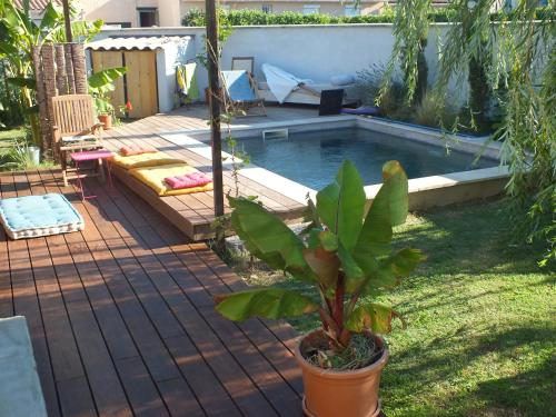 - une piscine avec une plante en pot dans une cour dans l'établissement maison tranquille en Provence, à La Celle-sous-Gouzon