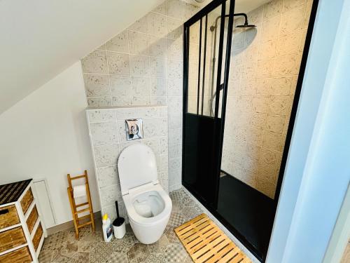 une salle de bain avec toilettes et douche dans l'établissement Le QUIET duplex, hypercenter, 2 bedrooms, spacieux, à Tours