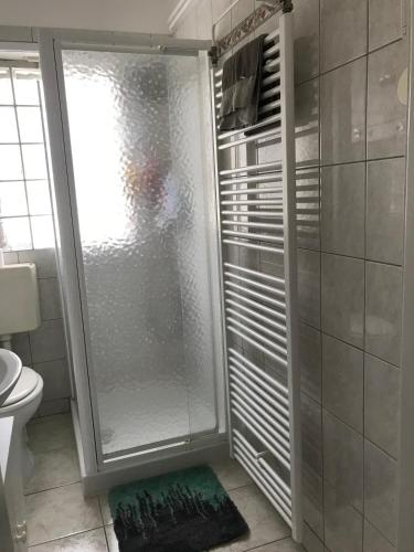 une douche avec une porte vitrée dans une salle de bain dans l'établissement Chez Elena, à Brunstatt