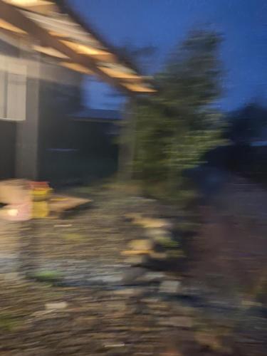a blurry picture of a tree in front of a train at Linda in Puerto Montt