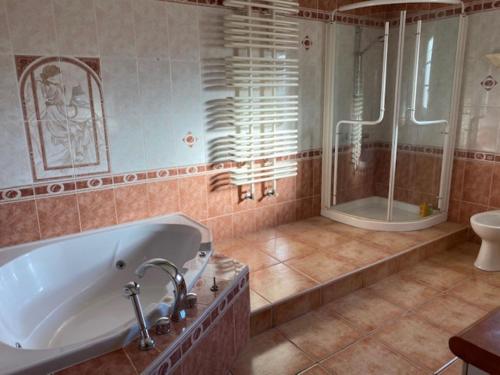 La salle de bains est pourvue d'une baignoire, d'une douche et de toilettes. dans l'établissement La Villa Catalane, à Bompas
