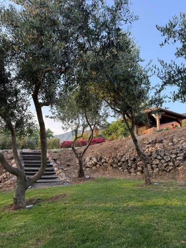 Κήπος έξω από το STARA KUĆA - old stone house