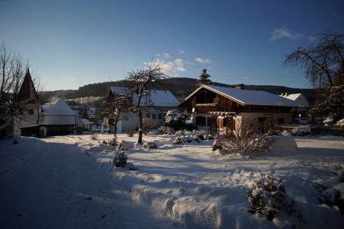 a yard covered in snow with a house at Bayerwaldhaus - Tradition trifft Moderne in Waffenbrunn