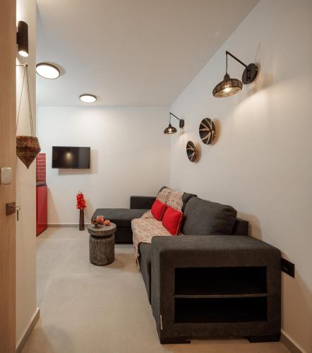 a living room with a couch and a tv at Silvina Beach House Naxos in Kastraki Naxou