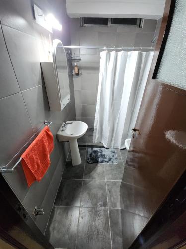a small bathroom with a sink and a shower at Centro House Departamento de tres dormitorios in Santa Fe