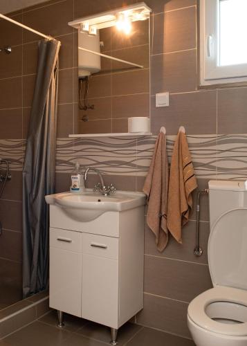 a bathroom with a sink and a toilet at Vržina Farm House Skadar Lake in Virpazar