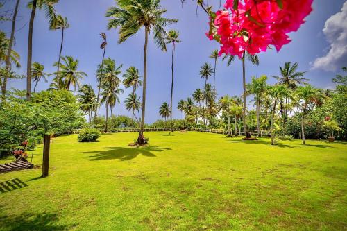 a park with palm trees and a field of grass at Villa Azulsalado - Frente a la playa in Las Terrenas