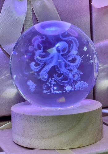 Photo de la galerie de l'établissement La Villa Rosie, à Eu