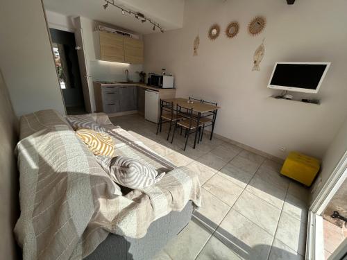 un salon avec un canapé et une table dans l'établissement Cap D Agde Roquille Clim 2 pers bord de mer, au Cap d'Agde