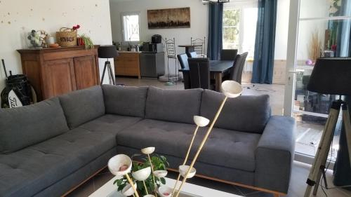 un salon avec un canapé et une table dans l'établissement Bastide avec jardin arboré, piscine, proche plages, à Cournonsec